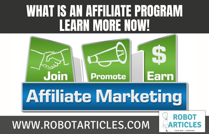 What Is An Affiliate Program